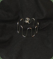 silver brace