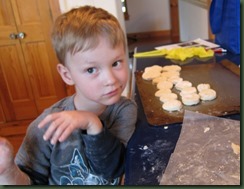 Wilson biscuits3